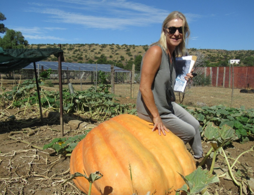 A Valuer’s Life in the Karoo | Interview by Karen Van Velden